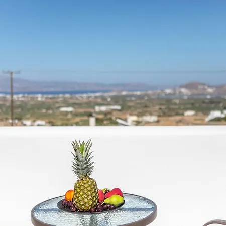 Agave Glinado Naxos