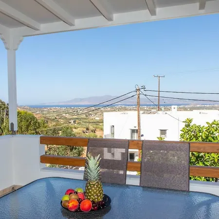 Vila Agave Glinado Naxos